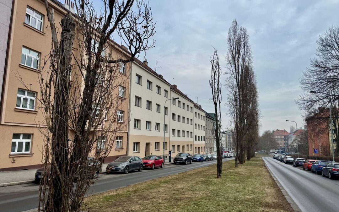 Informativní procházka k obnově stromořadí v Zelené ulici